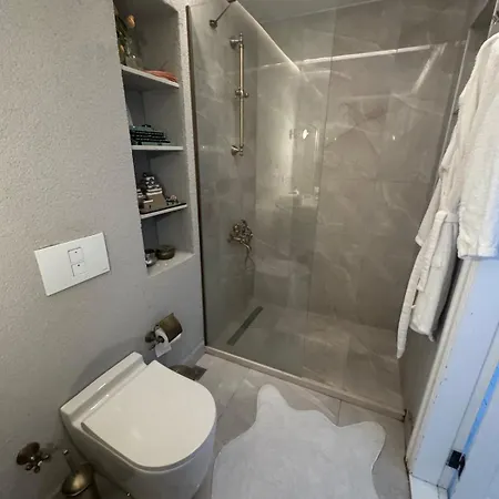 Hébergement de vacances Historic White Mansion Bosphorus & Church View