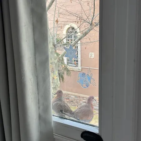 Historic White Mansion Bosphorus & Church View